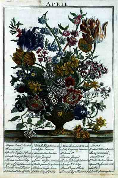 April, from The Flower Garden Displayed by Robert Furber, engraved by James Smith, pub. 1732 by Pieter after Casteels
